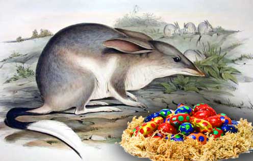 Easter Bilby