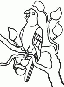 Free colouring in page of a parrot in a tree.