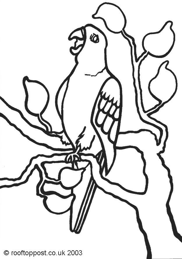 Free colouring in page of a parrot in a tree.