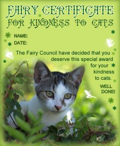 A certificate from the fairies for being kind to cats