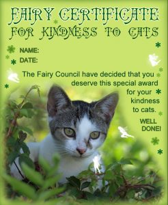 A certificate from the fairies for being kind to cats