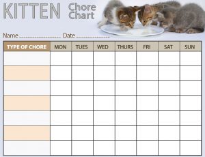 Free printable kitten chore chart for kids