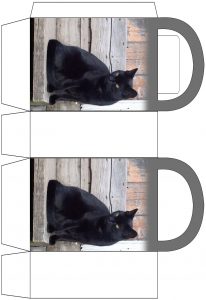 Black Cat Party Bag