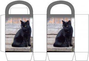 Black Cat Party Bag