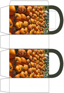 Pumpkin Patch Party Bag