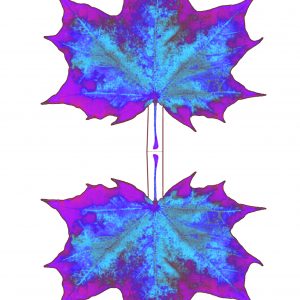 Printable paper maple leaf in blue and purple hues
