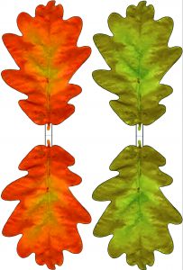 Printable green and red paper oak leaves