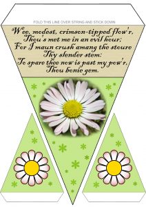 Burns Supper Bunting: Daisy