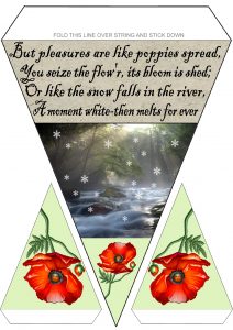 Rabbie Burns Bunting: Poppies and Snow