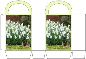 Printable snowdrop party bag