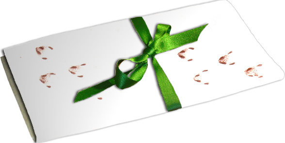 eaterr-letter-with-green-ribbon