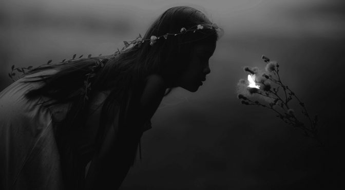 The Magic of Fairies