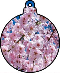 Printable bauble decoration showing pink blossom