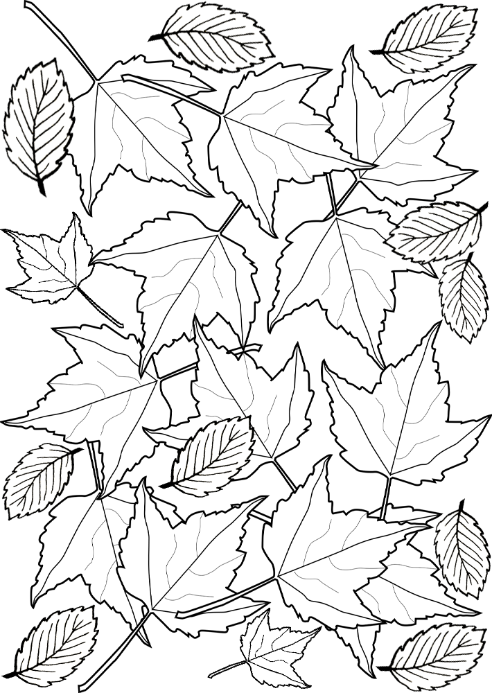 Printable colouring page of utumn leaves