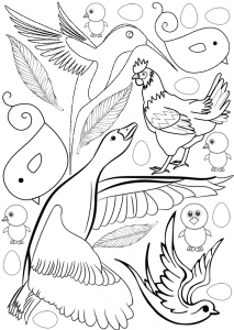 Printable colouring page of different types of bird