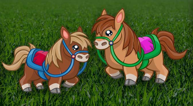 Two Riding Certificates