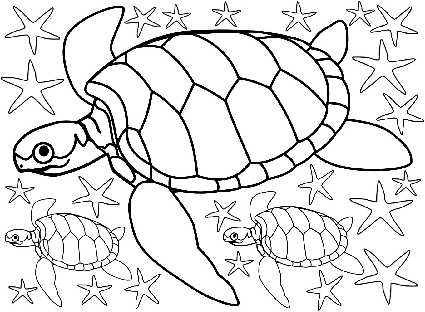 Colouring page of turtles and lots of starfish