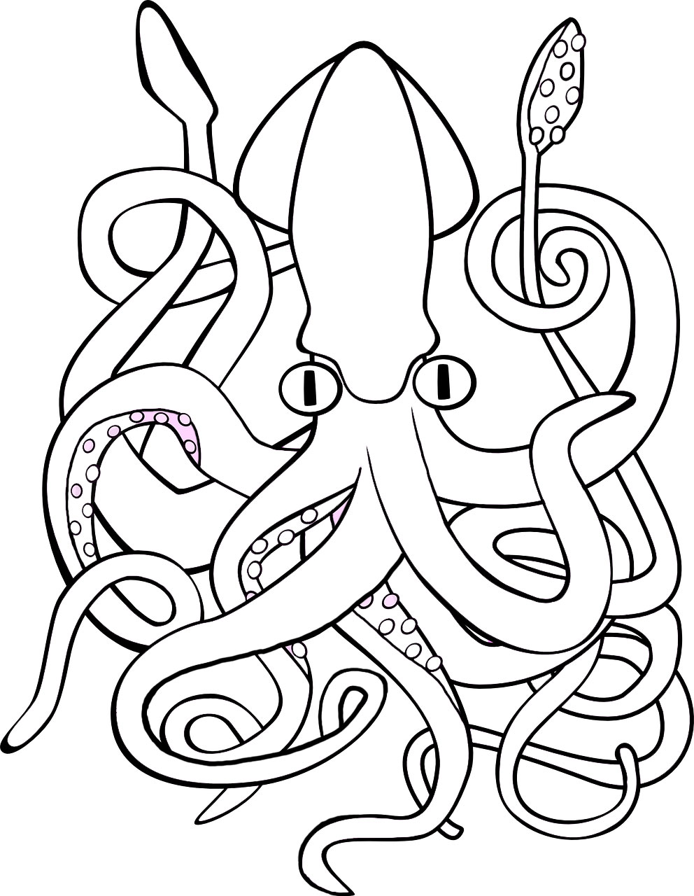 Printable colouring page of a giant squid