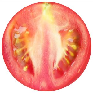 Printable tomato slice for making decorations for summer parties.
