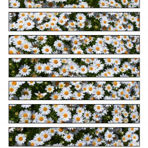 Printable paper chain with a daisy design