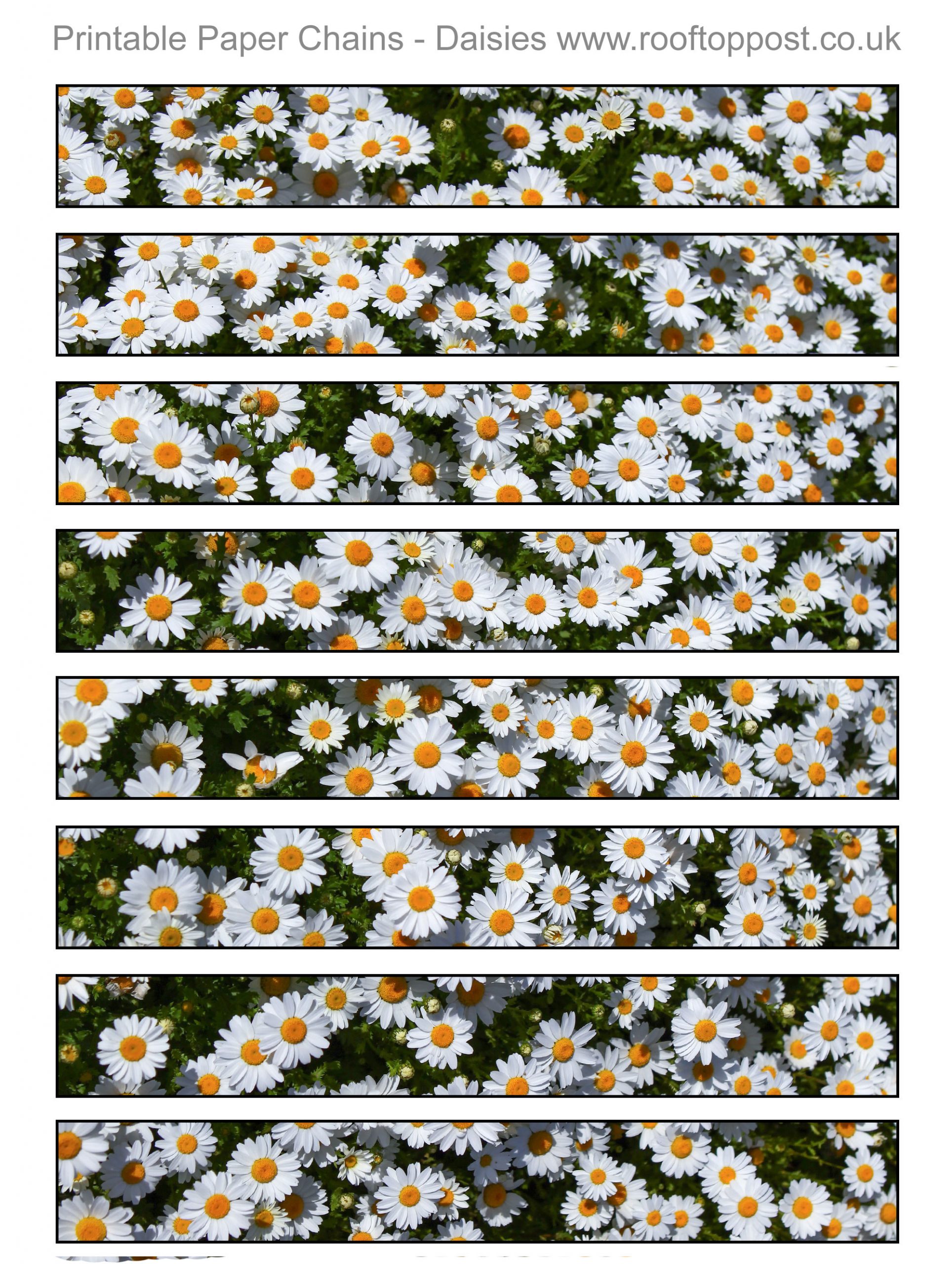 Printable paper chain with a daisy design