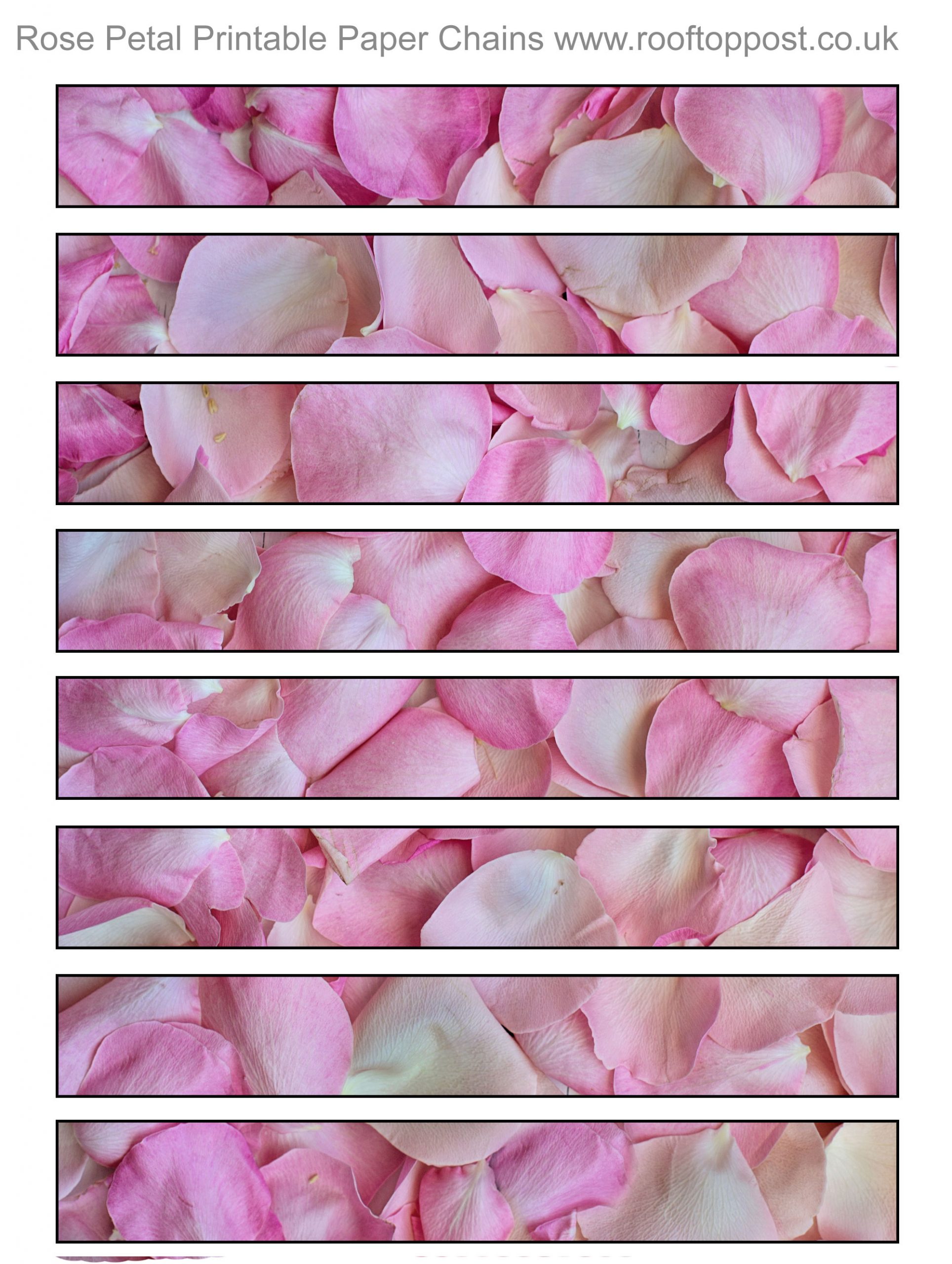Printable paper chain strips to decorate for spring festivals - these ones depict pink rose petals