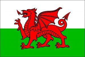 Llyn baner Cymru - Y Ddraig Goch. A printable picture of the red dragon Welsh flag.