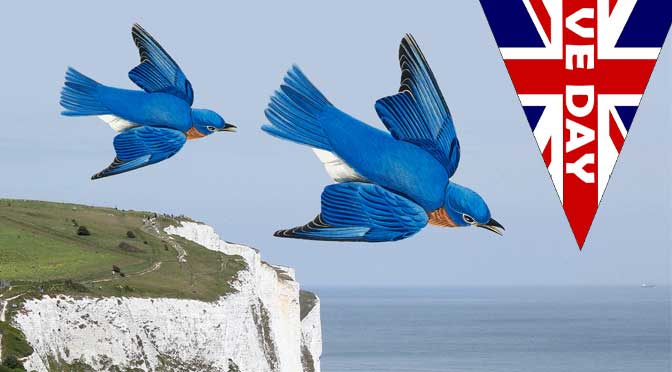 VE Day Bunting