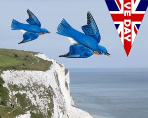 VE Day poster inspired by Vera Lynn's rendition of the famous song The White Cliffs of Dover