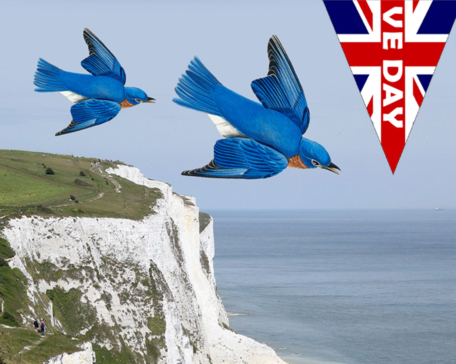 VE Day poster inspired by Vera Lynn's rendition of the famous song The White Cliffs of Dover