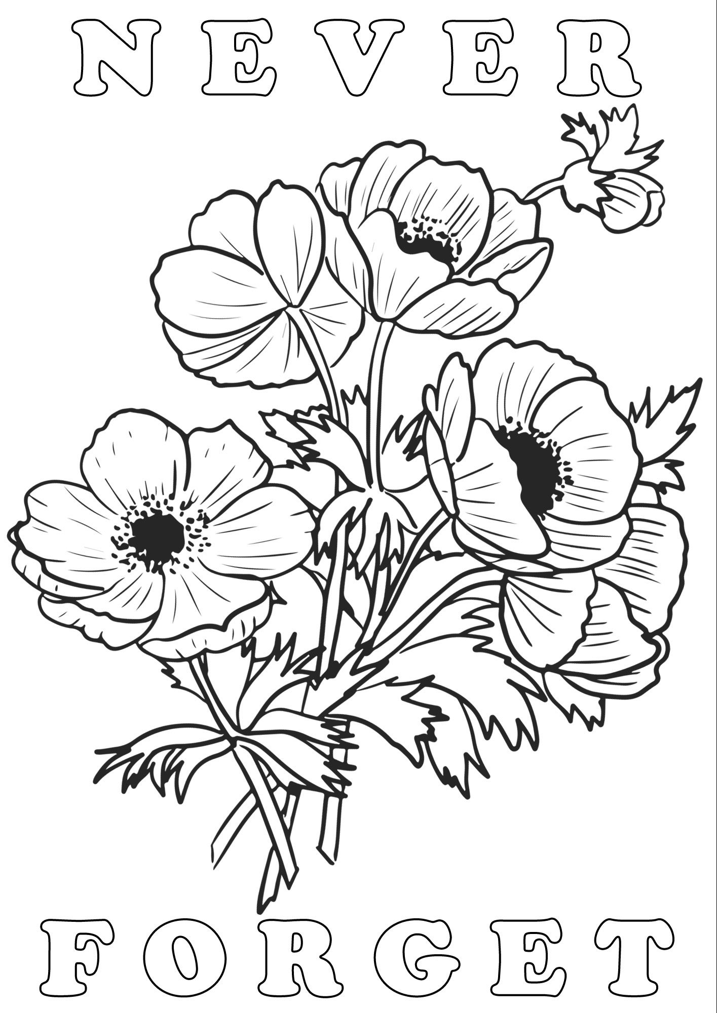 Poppies Colouring Poster: Never Forget | Rooftop Post Printables