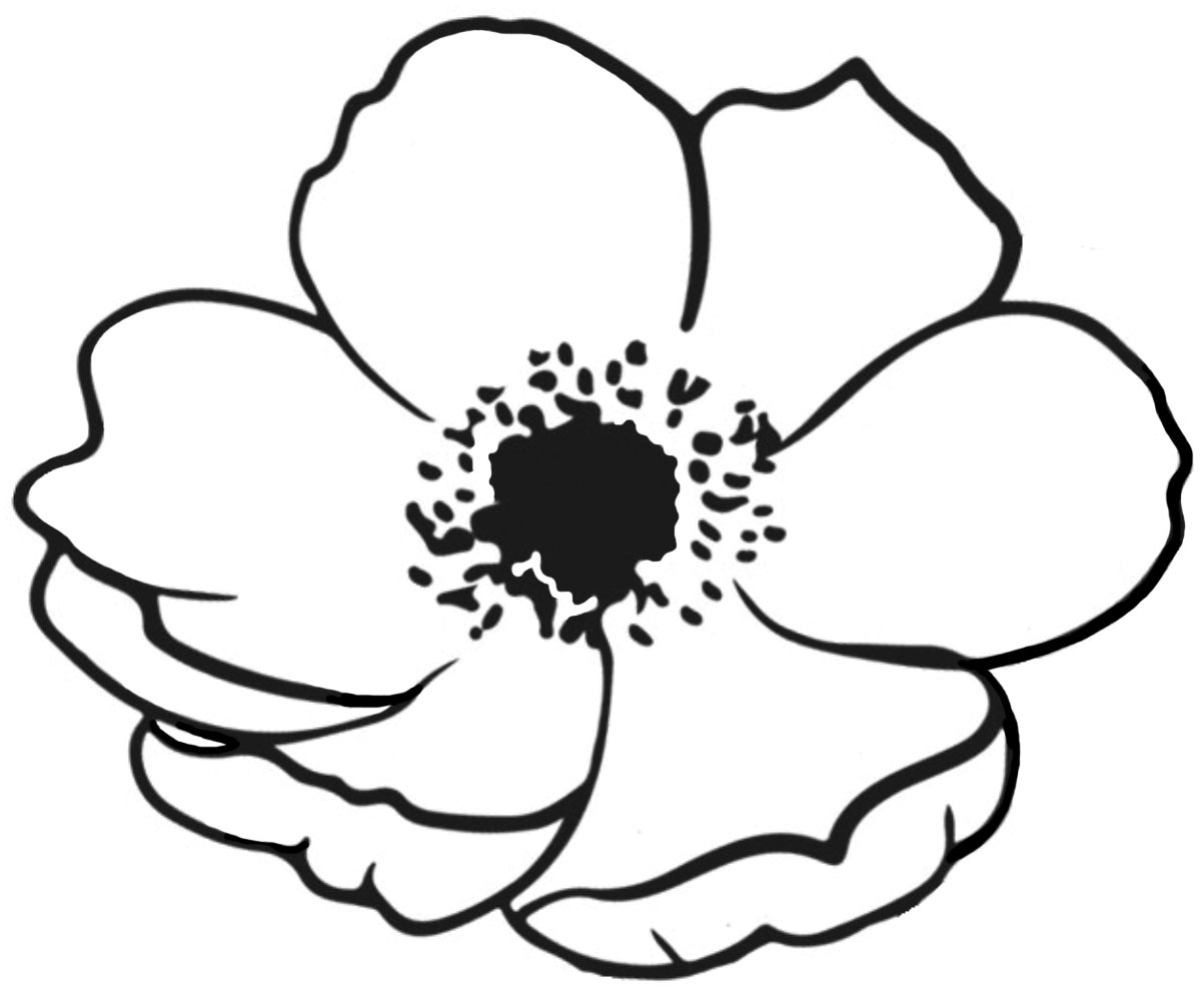 A free printable poppy to colour in for remembrance day.