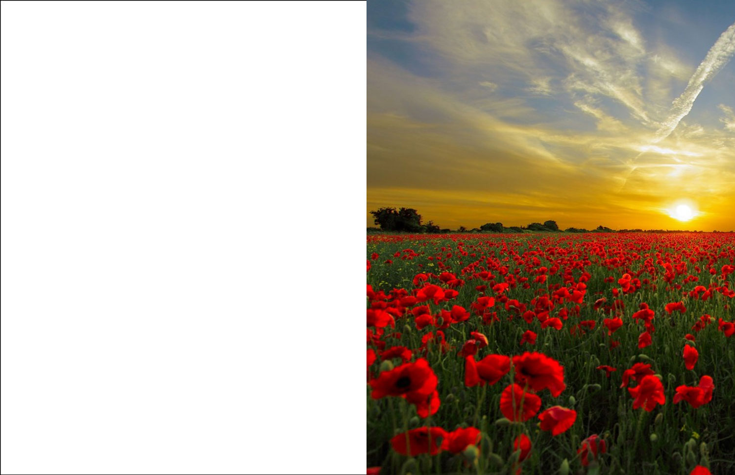 Poppies at Sunset Remembrance Card
