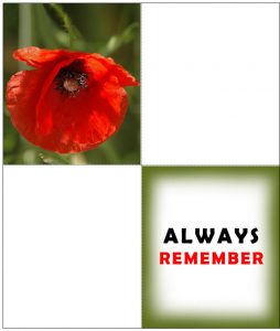 A printable four-fold card for Remembrance Day with a poppy on the front and bearing the message Always Remeber