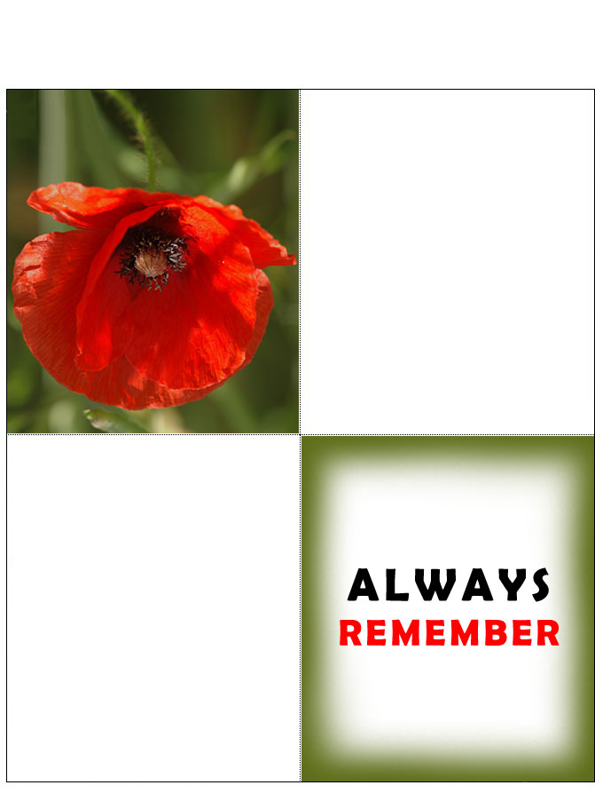 A printable four-fold card for Remembrance Day with a poppy on the front and bearing the message Always Remeber
