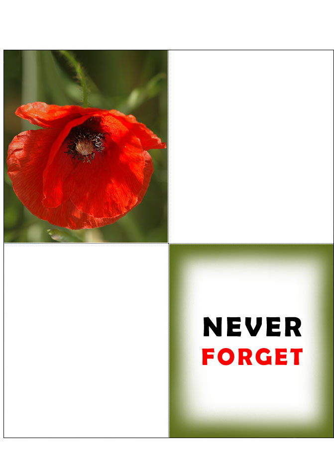 A printable four-fold remembrance card with a poppy on the front and saying Never Forget inside