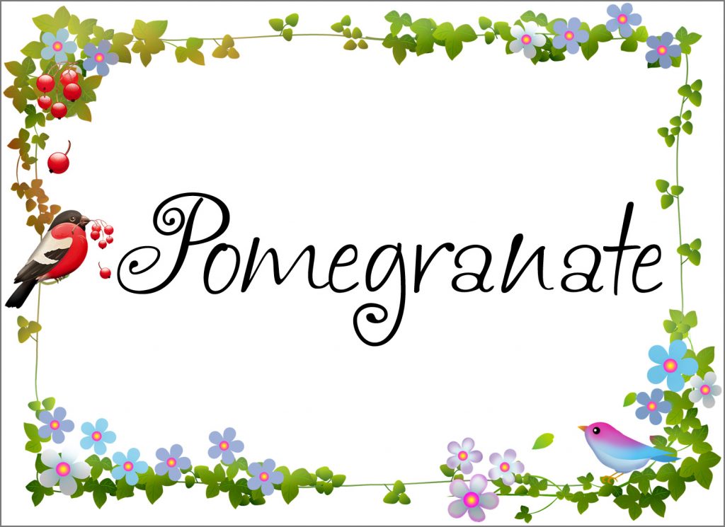 Pomegranate Pantry Label - Rooftop Post Printables