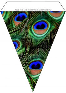 Pretty peacock bunting to print for parties.