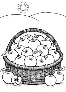 A harvest-themed colouring page for children, depicting a basket of apples which have just been picked.