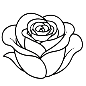 Rose flower head outline for Valentine’s Day crafts and colouring