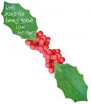 An elf message written on a leaf saying "Well done for being good"