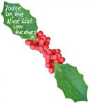 An elf message written on a leaf saying "You're on the nice list!"